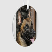 Belgier malinois.png ornament (Vorderseite)