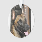 Belgier malinois.png ornament (Vorderseite)