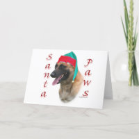 Belgier Malinois Sankt Tatzen