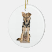 Belgier Malinois Verzierung Keramikornament (Links)