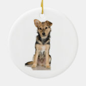 Belgier Malinois Verzierung Keramikornament (Hinten)