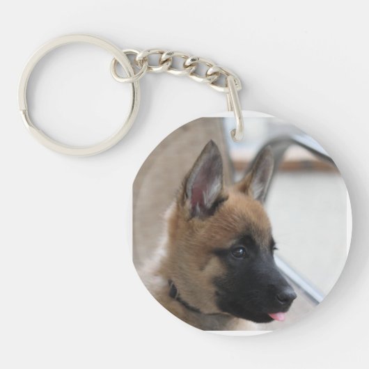 Belgier Malinois Welpen-Schlüsselanhänger Schlüsselanhänger (Vorderseite)
