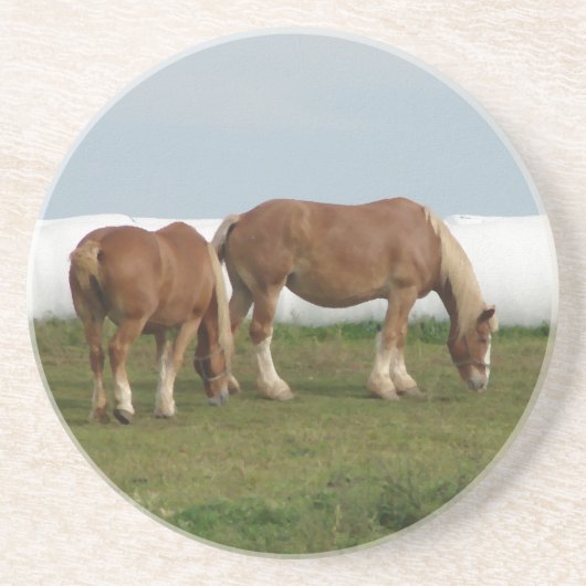 Belgier Sandstein Untersetzer (Vorne)