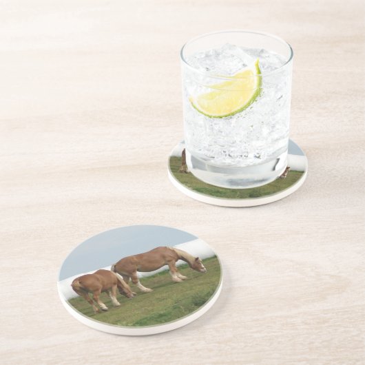 Belgier Sandstein Untersetzer (Seite)