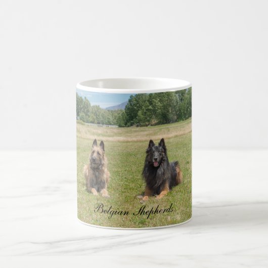 Belgier Shepherds Kaffee-Tasse Kaffeetasse (Mittel)