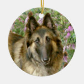 Belgier Tervuren Freidnship Verzierung Keramik Ornament (Vorne)