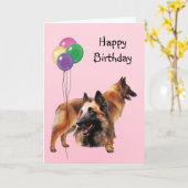 Belgier Tervuren, Geburtstags-Ballone Karte (Gelbe Blume)