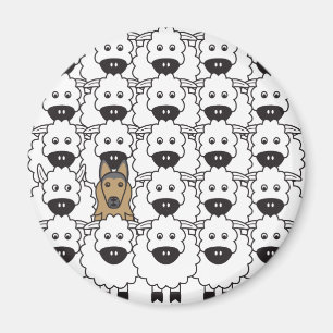 Belgier Tervuren in den Schafen Magnet