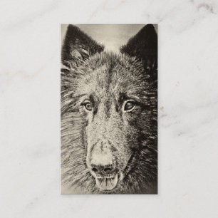 Belgier Tervuren Visitenkarte