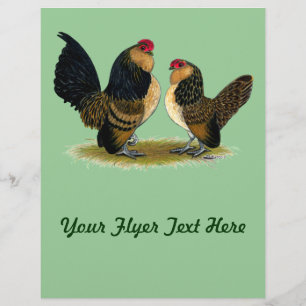 Belgisch d'Anvers Bantams: Quail Flyer