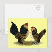 Belgisch d'Anvers Bantams:  Qual Postkarte (Vorne/Hinten)