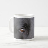 Belgisch_Groenendael eyes.png Kaffeetasse (Vorderseite Links)
