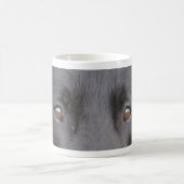 Belgisch_Groenendael eyes.png Kaffeetasse (Mittel)