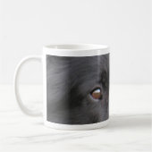 Belgisch_Groenendael eyes.png Kaffeetasse (Links)