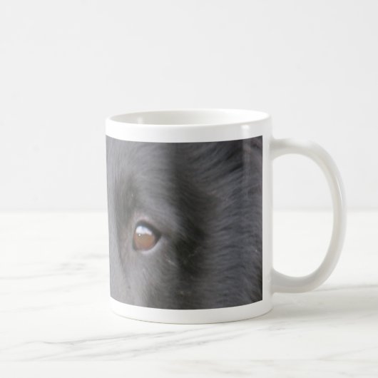 Belgisch_Groenendael eyes.png Kaffeetasse (Rechts)