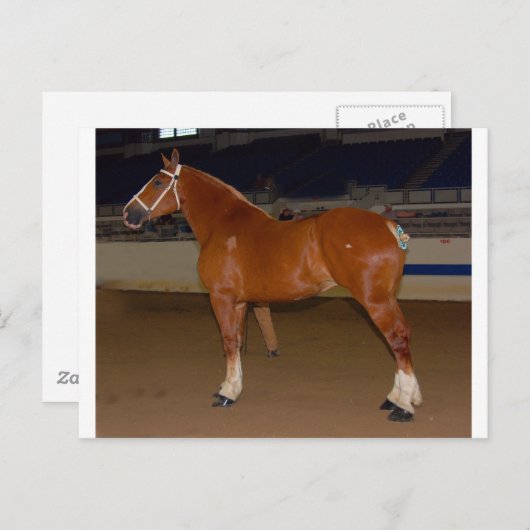 Belgisch im Schauring Postkarte (Vorne/Hinten)