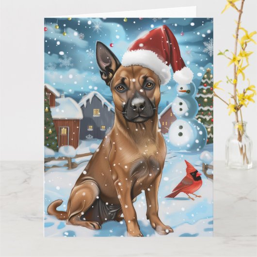 Belgisch Malinoi Dog Winter Wonderland Weihnachten Karte (Gelbe Blume)
