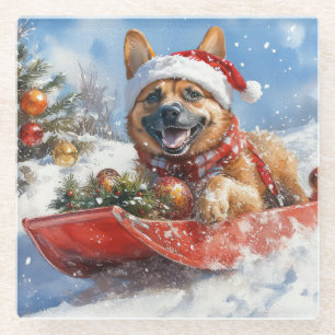 Belgisch Malinoi in Sledge Let it Snow Christmas Glasuntersetzer