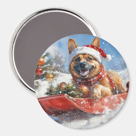 Belgisch Malinoi in Sledge Let it Snow Christmas Magnet (Vorderseite/Rückseite)