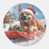 Belgisch Malinoi in Sledge Let it Snow Christmas Magnet (Vorne)