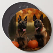 Belgisch Malinoi Welpe Autumn Delight Pumpkin Button (Vorne & Hinten)
