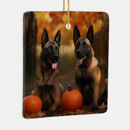 Belgisch Malinoi Welpe Autumn Delight Pumpkin Keramikornament (Rechts)