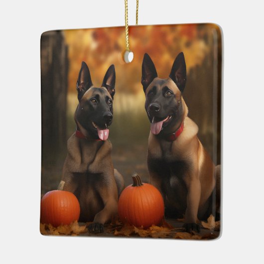 Belgisch Malinoi Welpe Autumn Delight Pumpkin Keramikornament (Links)