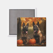 Belgisch Malinoi Welpe Autumn Delight Pumpkin Magnet (Vorderseite/Rückseite)