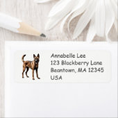 Belgisch Malinois (Insitu)