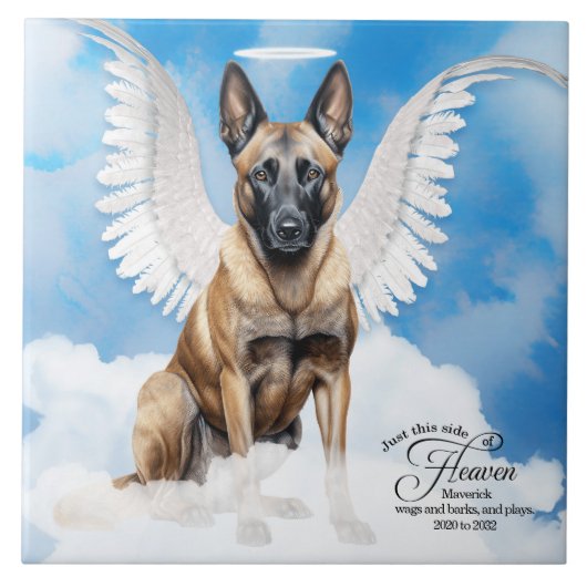 Belgisch Malinois Angel Personalisiert Pet Memoria Fliese (Vorderseite)