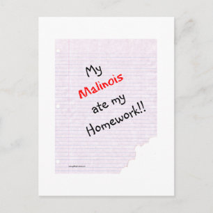 Belgisch Malinois Ate Meine Hausaufgaben Postkarte