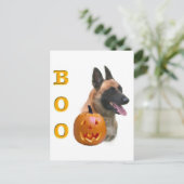 Belgisch Malinois Boo Postkarte (Stehend Vorderseite)