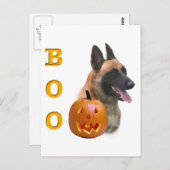 Belgisch Malinois Boo Postkarte (Vorne/Hinten)