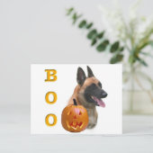 Belgisch Malinois Boo Postkarte (Stehend Vorderseite)
