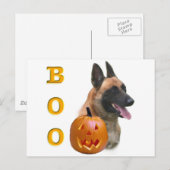 Belgisch Malinois Boo Postkarte (Vorne/Hinten)