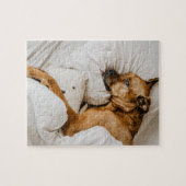 Belgisch Malinois Boxer | Adorable Lazy Dog Foto Puzzle (Horizontal)
