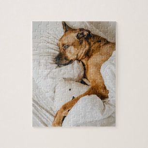 Belgisch Malinois Boxer Adorable Lazy Dog Foto Puzzle