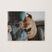 Belgisch Malinois Boxer | Welpe auf schwarzem Foto Puzzle (Horizontal)