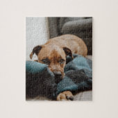 Belgisch Malinois Boxer | Welpe auf schwarzem Foto Puzzle (Vertikal)
