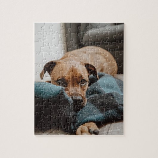 Belgisch Malinois Boxer | Welpe auf schwarzem Foto Puzzle (Vertikal)