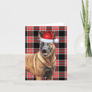 Belgisch Malinois Christmas Dog Karierte Weihnacht Feiertagskarte