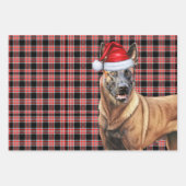 Belgisch Malinois Christmas Dog Red Holiday Karier Geschenkpapier Set (Vorderseite 2)