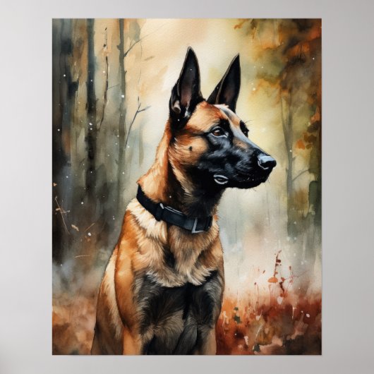 Belgisch Malinois Dog Art Print Poster (Vorne)
