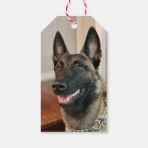Belgisch Malinois Dog Geschenkanhänger