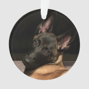 Belgisch Malinois Dog Ornament