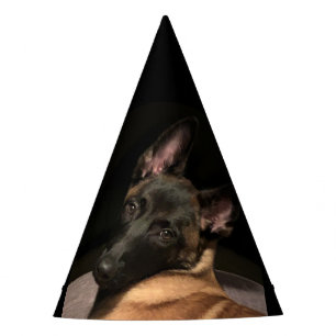 Belgisch Malinois Dog Partyhütchen
