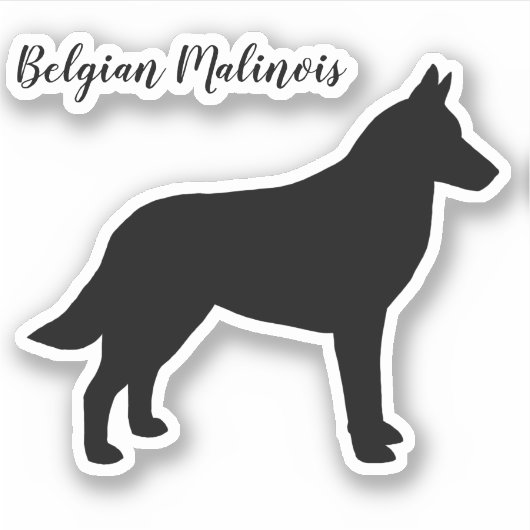 Belgisch Malinois Dog Silhouette Vinyl Sticker (Vorderseite)