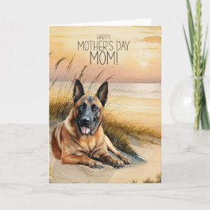 Belgisch Malinois Dog Sunset Beach Muttertag Feiertagskarte