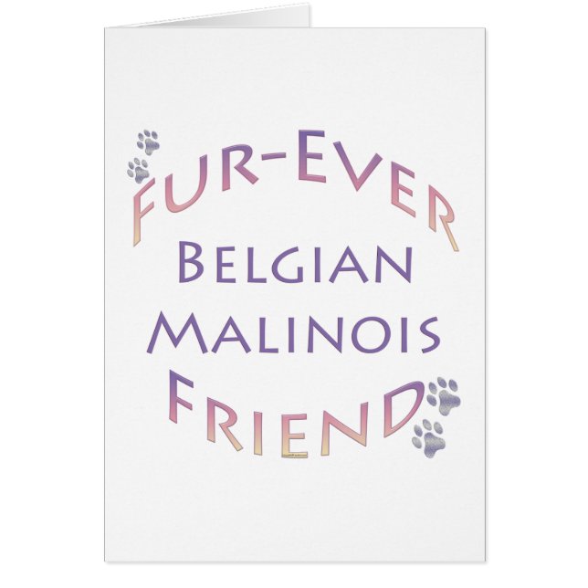Belgisch Malinois Furever (Vorne)