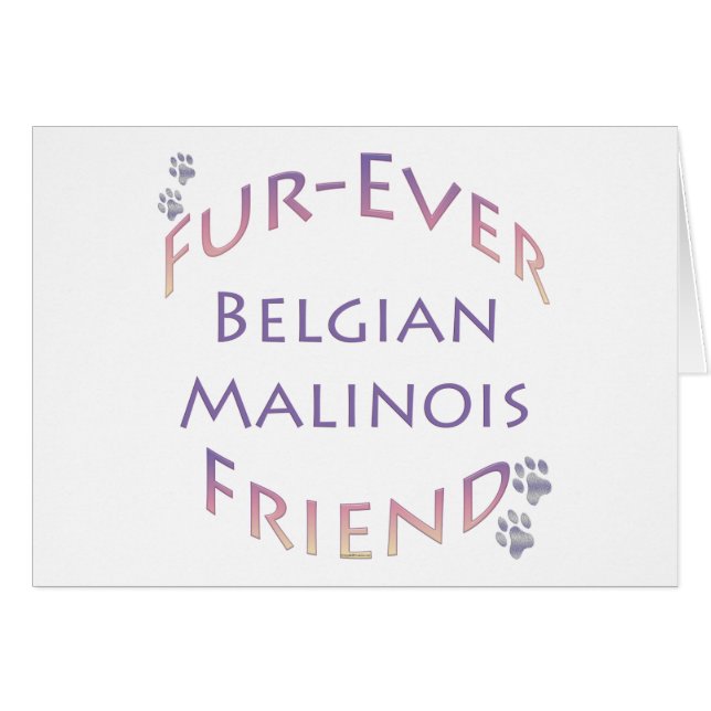 Belgisch Malinois Furever (Vorderseite (Horizontal))